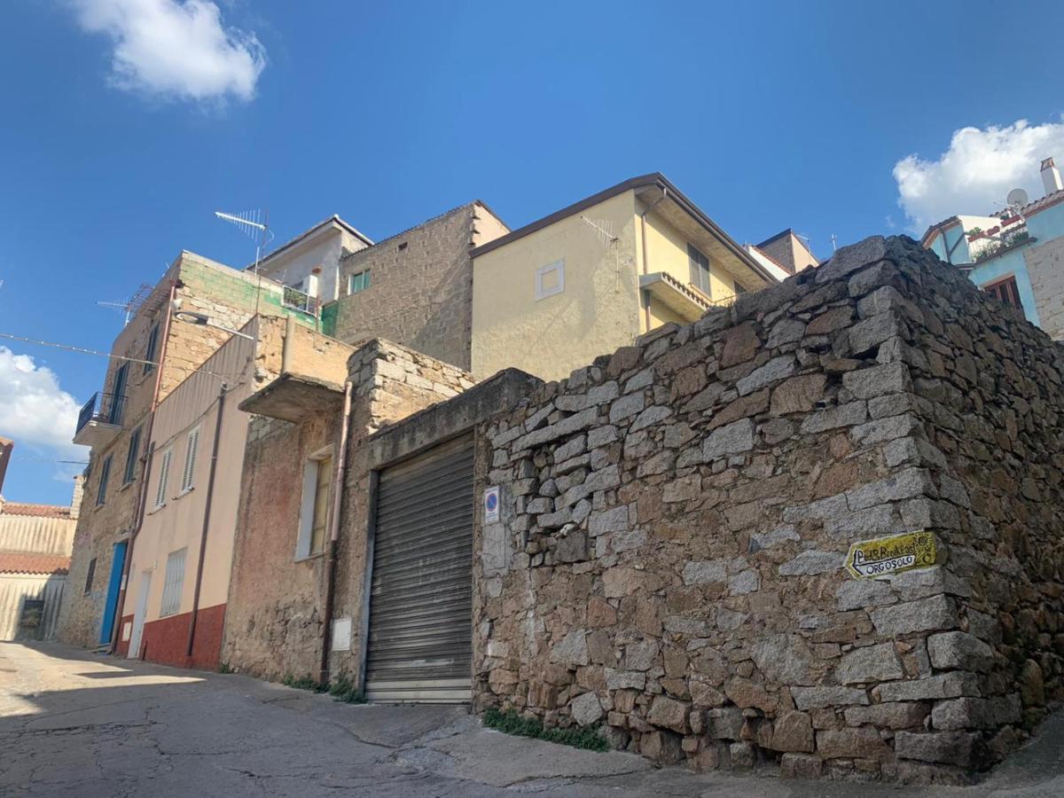 Orgosolo B&B Sardegna Eksteriør billede
