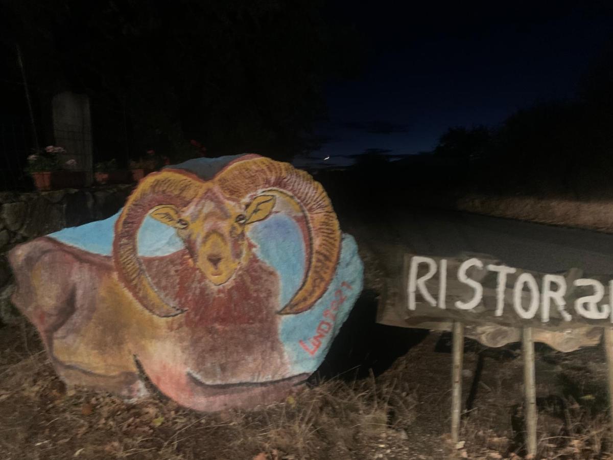Orgosolo B&B Sardegna Eksteriør billede