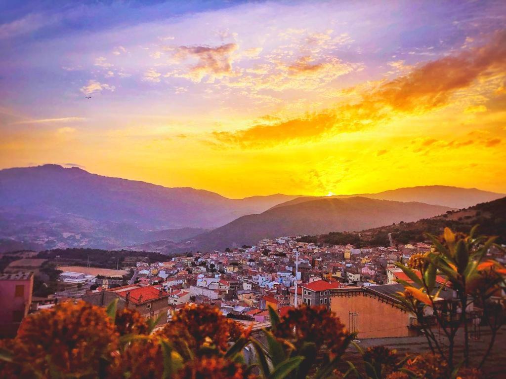 Orgosolo B&B Sardegna Eksteriør billede
