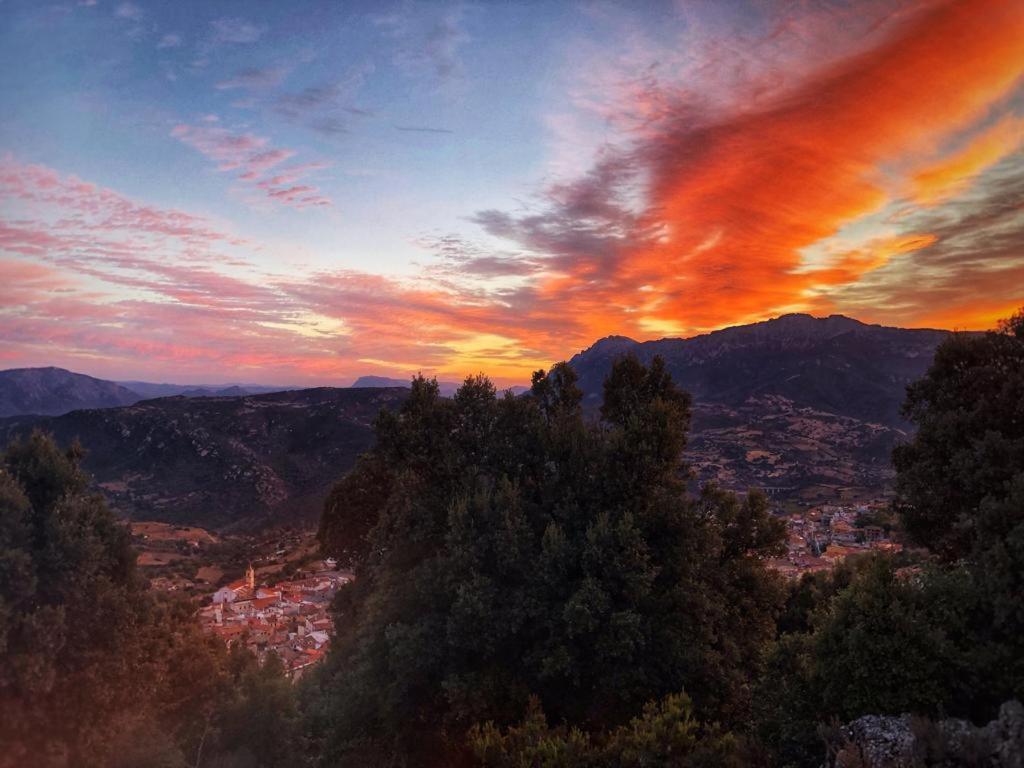 Orgosolo B&B Sardegna Eksteriør billede