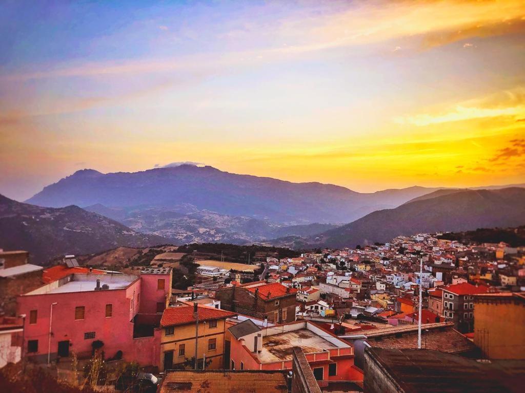 Orgosolo B&B Sardegna Eksteriør billede