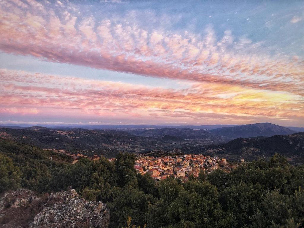 Orgosolo B&B Sardegna Eksteriør billede