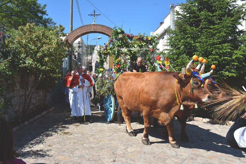 Orgosolo B&B Sardegna Eksteriør billede